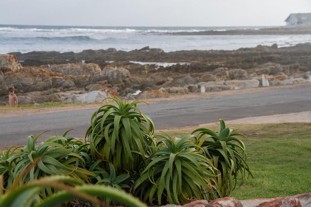 Little Rock Guesthouse Groot-Jongensfontein Exteriör bild